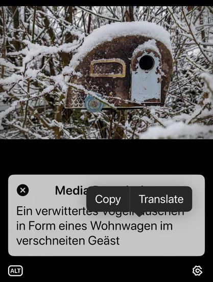 An example: “Ein verwittertes Vogelhäuschen in Form eines Wohnwagen im verschneiten Geäst” means: “A weathered birdhouse in the shape of a caravan in the snowy branches.”