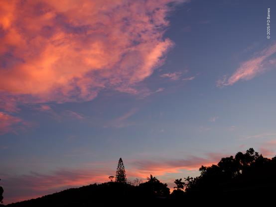 A large, loose cloud is lit brilliant pink by the light of the diametrically opposite sunset. It's low in a blue sky, over the dark silhouette of Mt. Gravatt and a single pine tree.