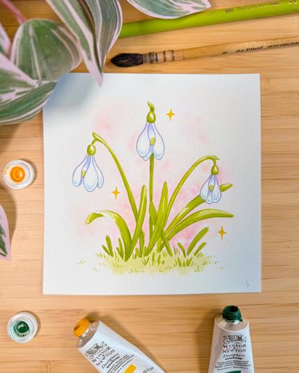 A photo of a gouache painting of a cluster of snowdrops with a soft pink background with stars surrounding it.