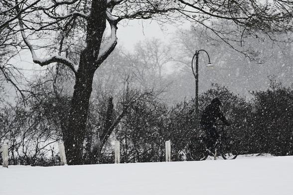 A barely visible bicycle rider in front of bare bushes in the snow
