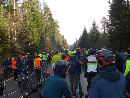 Viele Menschen mit Fahrrädern stehen auf einer Straße im Wald.