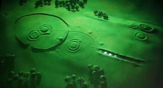 Hill of Tara; photocredit 1. Neu-Kelte