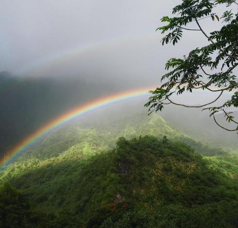 A double rainbow in a jungle landscape of rainforest with dense fog.