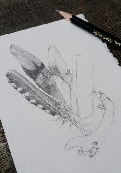 An old work in progress shot of a drawing that depicts feathers and cat’s mandible