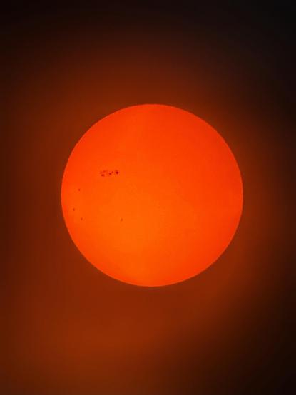 Photo of the sun taken on Feb 2, 2026 at 11:16am. The sun appears as a large orange ball surrounded by a reddish glow softening into black at the edges of the frame. Several sunspots pepper the sun’s western side, particularly a row of very dark spots at the upper left quadrant. Taken with an iPhone 15 attached to a 130mm reflector telescope with a solar filter.