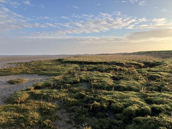 View over saltmarsh on the River Eden.
The tide is out on the left, the grass is green and the sun is shining.