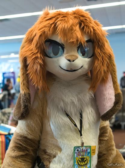 Lop-eared rabbit fursuiter with multiple shades of brown fur, a tan belly, and blue eyes, standing in a hallway with sunlight from one side.