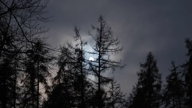 Sonne als milchige Scheibe am hellgrauen Himmel