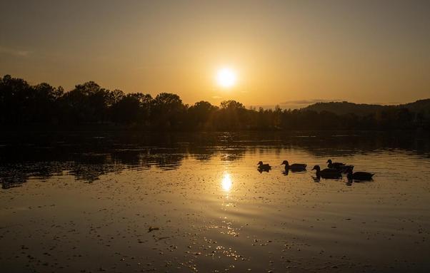 Lake Pichlingersee autumn 2019