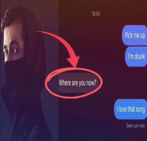 text conversation. sender says "Pick me up. I'm drunk." receiver says "Where are you now?", this is circled in red with a red arrow pointing to it from Alan Walker. the sender responds "I love that song"