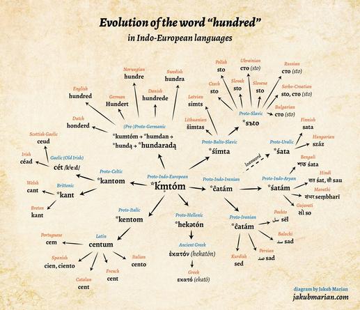 A chart showing the evolution of the word Hundred across Indo-European languages, stretching from kmtom to things like Catalan cent, Irish cead, Norwegian hundre, Hindi sat, and Persian sad