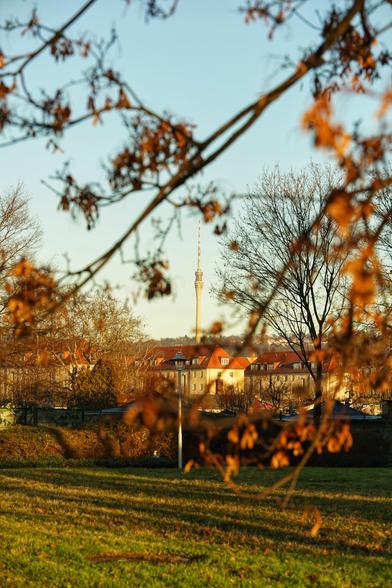Fernsehturm in der Ferne, Ast unscharf im Vordergrund, dazwischen Mehrfamilienhäuser