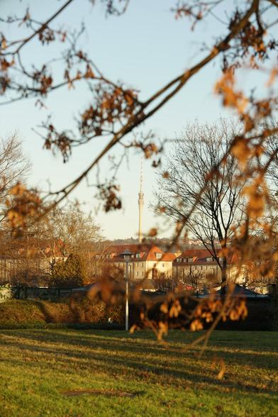 Sehr ähnlich, Winkel und Einstellungen marginal anders