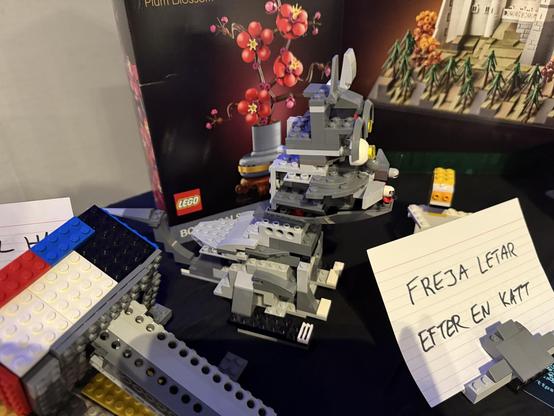 Freyja is looking for a cat. A gray cat built with lego.