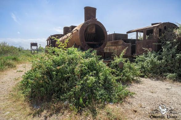 old trains overgrown