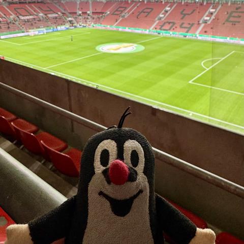 Ein kleines Plüschmaulwurf schaut in die Kamera. Es ist in der Arena von Bayer 04. Hinter ihr ist der Mittelkreis mit dem DFB-Logo zu sehen.