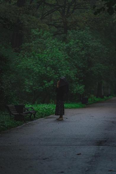 Early morning or dusk scene. A photo. Forest background with a wide constructed path running through at a slight angle. Someone stands with a black umbrella and long dark skirt or dress, looking out toward the forest