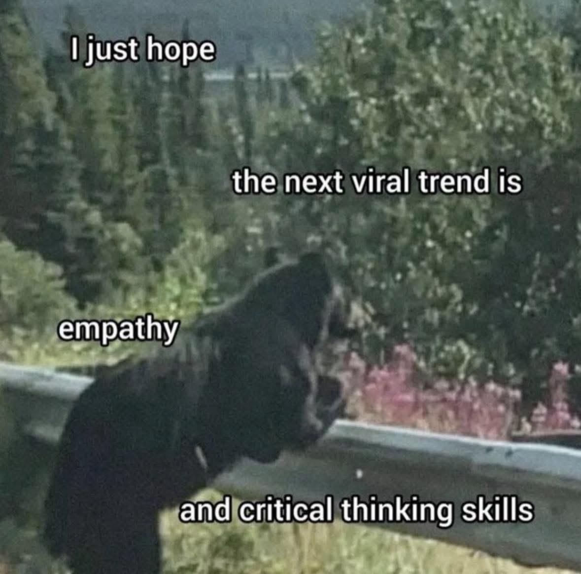 A bear leans on a rail, looking forlornly over wilderness. The text reads, "I just hope the next viral trend is empathy, and critical thinking skills."