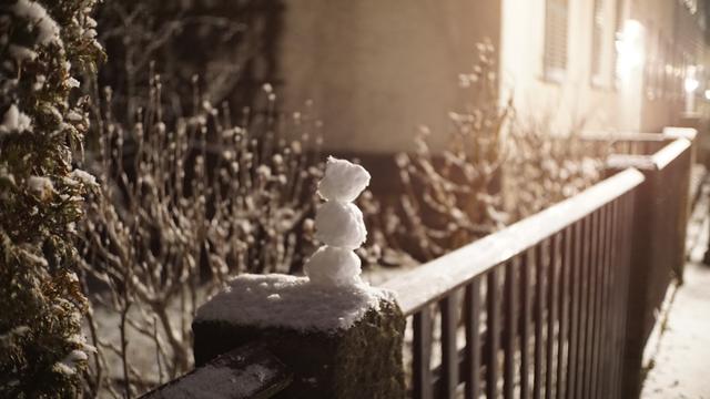 Blickwinkel etwas weiter, mehr Zaun und Garten sichtbar