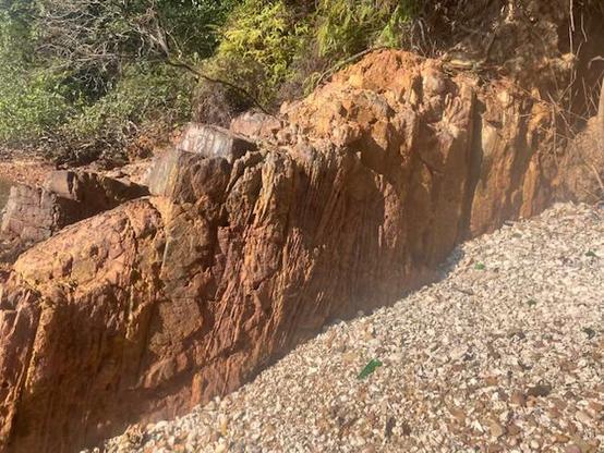 sedimentary rocks from  Devonian