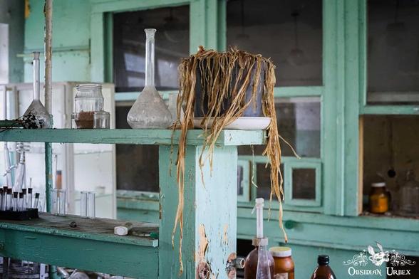 dead plant and lab glassware