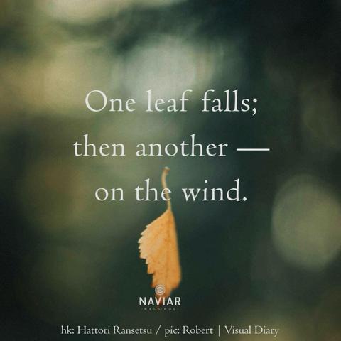 A close-up image of a softly blurred background featuring a falling leaf, overlaid with the text: "One leaf falls; then another — on the wind." The image is attributed to hk: Hattori Ransetsu and pic: Robert