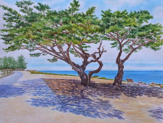 Watercolor painting of two Monterey cypress trees. Shadows on the ground, pathway on the left. Overlooking Monterey Bay.