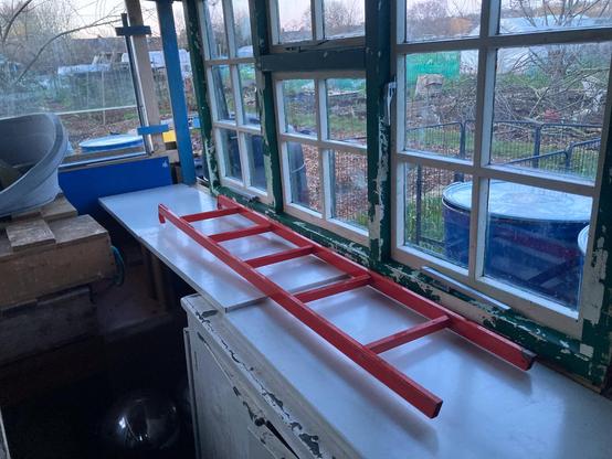 Three light grey metal shelves are now making a window height bench down one side of an allotment shed. A 1.5 metre long red metal ladder is sitting on the bench.