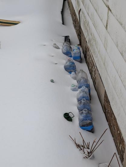 A snowy patch of ground next to a garage. Several plastic jugs with soil in them, secured closed with painters tape, are peeking out of the snow.