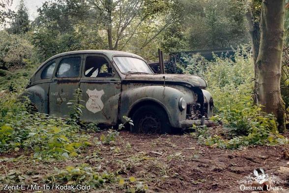 An old, rusted car sits abandoned and overgrown with vegetation in a wooded area.