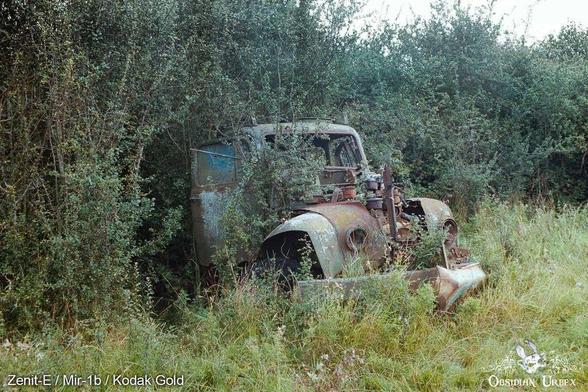 old truck in bushes