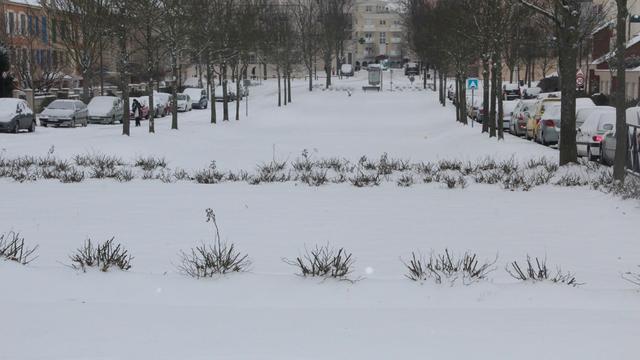 Photo souvenir du jour.