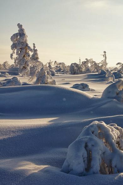 View over snowy landscape
