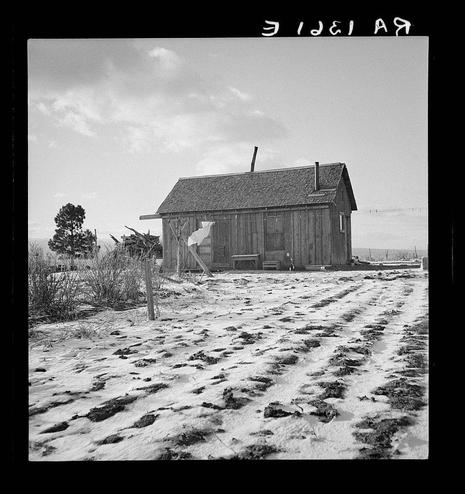 The image is a black and white photograph depicting an old, weathered wooden barn situated on what appears to be a farm. The structure shows signs of decay with peeling paint, missing or damaged sections in the walls, and exposed framing at some points. A chimney protrudes from the roof towards the center-right side of the building.

In front of the barn is a large area covered partially by snow, evidenced by patches where bare ground can be seen through the accumulation. Footprints are visible on this snowy surface, suggesting recent human activity in the vicinity. To the left foreground, there's a barren tree with no leaves and some dead or dormant shrubbery next to it.

The sky above is partly cloudy but allows enough sunlight to cast shadows across the barn’s exterior. The overall atmosphere of the photograph conveys a sense of abandonment or neglect and hints at rural life possibly in an era where farming was predominant, as suggested by its vintage appearance.