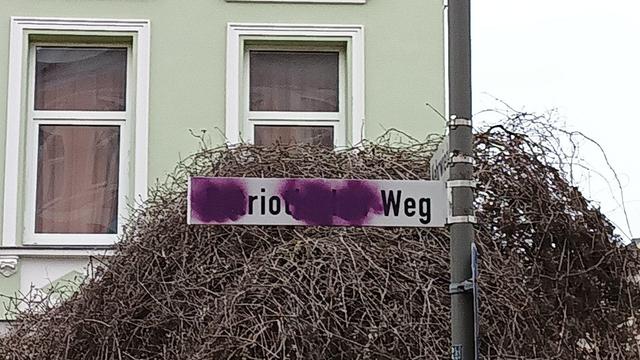 Straßenschild an einem Pfahl. Mit lila Farbe wurde "Patriotischer Weg" so stellenweise übersprayt, dass da "riot Weg" steht. Im Hintergrund ein Haus und ein Bäumchen.