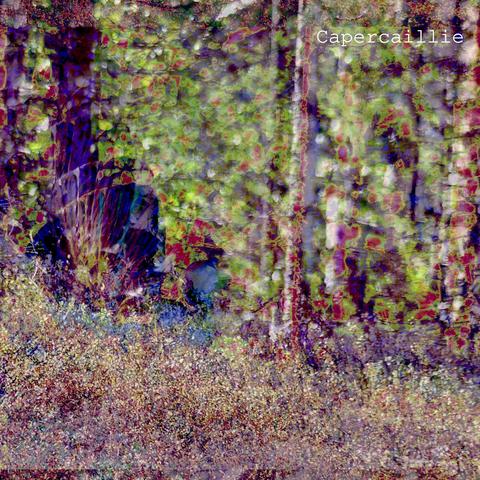 A image of a Capercaillie bird in a forest very processed. We can see dots and spread of colours a bit like impressionist paintings. The most present colors are blue, green yellow and pink.