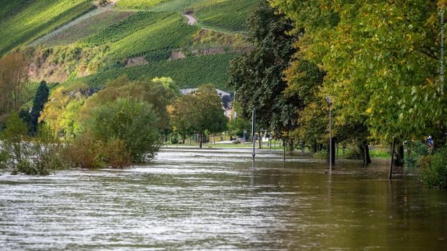 Hochwasser: Die Mosel hat 2024 die Uferpromenade in Ürzig in Rheinland-Pfalz überflutet – jetzt soll ein Tool mit dme Namen Hydrozwilling helfen. (Foto: dpa Bildfunk, picture alliance/dpa | Harald Tittel)