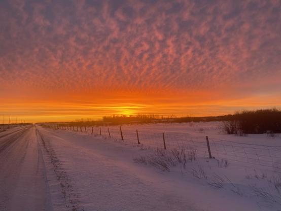 Straight, flat, snow-covered road. Old wire fence on one side. Scrub bush in the field. Sun is just cresting the horizon and is obscured by trees. Sky is bright orange about the sun reflecting off  linear clouds just along horizon, Clouds change to rippled and colour  fades from orange to blue  to purple