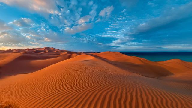 A bone-dry coast - © Steve Allen / Shutterstock