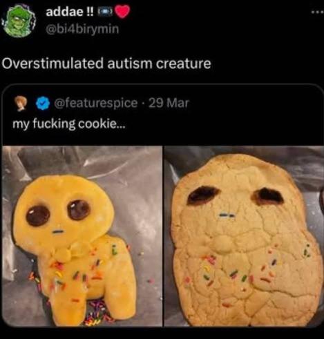 Social media post: two pics of one homemade cookie, before and after baking. Caption: my fucking cookie
Pic 1: An autism meme creature, on all fours, expressionless look. Some sprinkles. The mouth is one single sprinkle.
Pic 2: Cookie is baked, the shape is no longer recognizeable, shape is more like a potato. 
Comment: Overstimulated autism creature