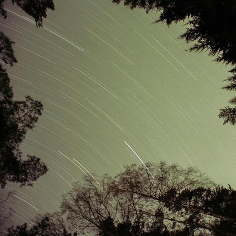 Image of a night sky surrounded by trees (conifers and deciduous). It is a timelapse photo with stars forming curve segments centering on the bottom left of the image.
