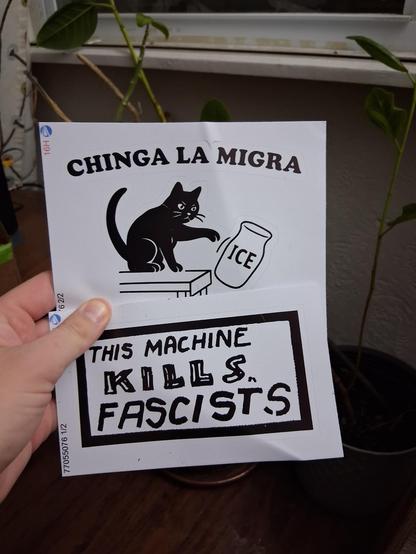 A sticker of an angry black cat knocking a vase labeled "ice" off a counter underneath the words "chinga la migra", loosely translated as "fuck ice"

And a sticker that says "this machine kills facists", drawn in the same style as the sticker on Woodie Guthrie's guitar
