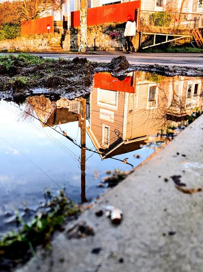 Building and power pole reflected in puddle.