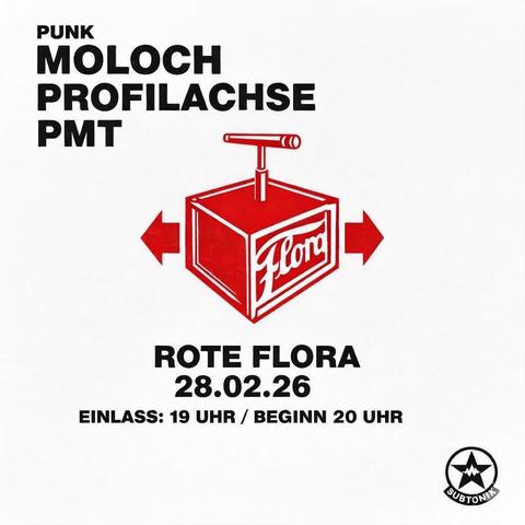 Bild beschreibt einen Flyer für das Punkkonzert mit Moloch, Profilachse in PMT.