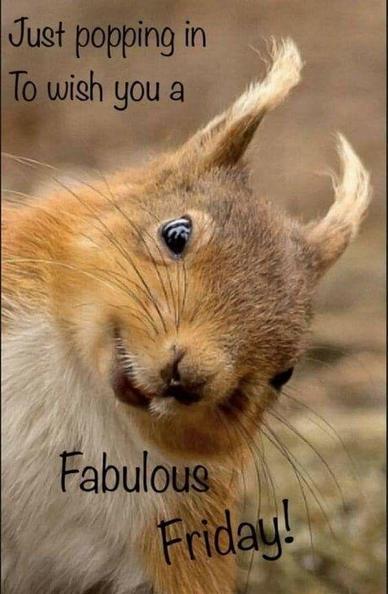 Picture a close up of a red squirrel with a slight smile on their face. 
The caption reads: “Just popping in to wish you a Fabulous Friday!”

Credit: DDG find.