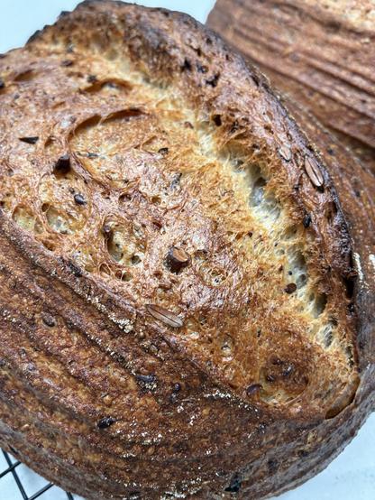 Out of the oven batards showing seeds, seaweed and gluten strands.