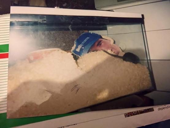 Glass tank with wire top, mountains of sawdust, and a mostly eaten cardboard cutout of racing driver Damon Hill. Can see one black gerbil and maybe the white one