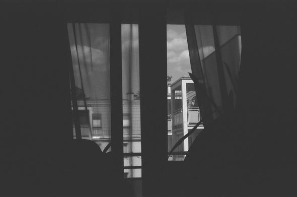 A moody black and white photograph shot on Fomapan 200 film. The view looks out from a dark, silhouetted interior through a window covered by sheer, textured curtains. The dark outline of a houseplant's leaves frames the right side of the image. Through the glass, a bright, modern residential building with balconies and railings is visible across the street. The image has high contrast, emphasizing the deep shadows of the room against the bright reality outside.
