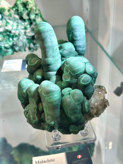 Malachite is a green mineral of many forms. This specimen is about 7” tall for the tallest columns in a cluster with the fat bases joined to a harder matrix stone. It is shown pointing up but likely forms down in a cave or pocket. You can see the growth rings of layers of the green malachite formed in drips and blobs. It’s beautiful.