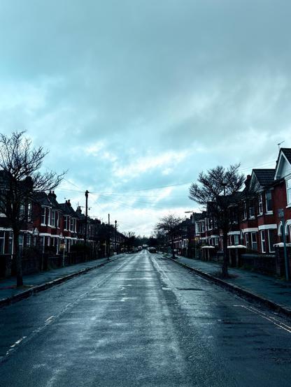 A grey cold shot of a 100 year old southern English suburban street lined with red brick terraced houses and bare trees. There are no cars in immediate view (though some are in the distance).